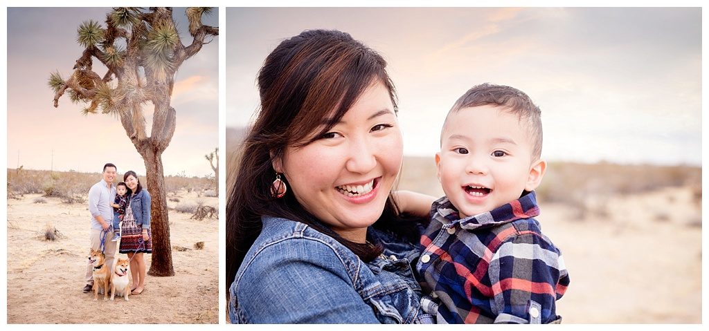 Desert photography in joshua tree