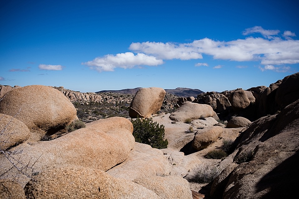 split rock, joshua tree, joshua tree national park, JTNP, visit joshua tree, joshua tree photographer, san clemente photographer, things to do in southern california, day trip from Los Angeles, day trip from San Diego