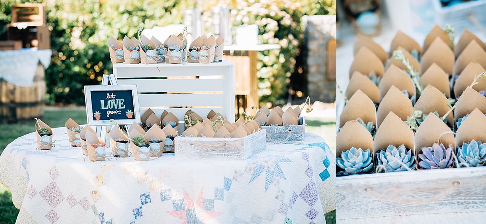 wedding reception, outdoor wedding reception, wedding favors, succulent wedding favors, quilt table covers for weddings, wedding photographer in san diego